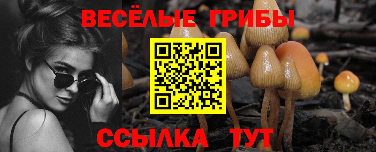 Галлюциногенные грибы MAGIC MUSHROOMS  Псилоцибиновые грибы Psilocybe  Вход с VPN  Гай 